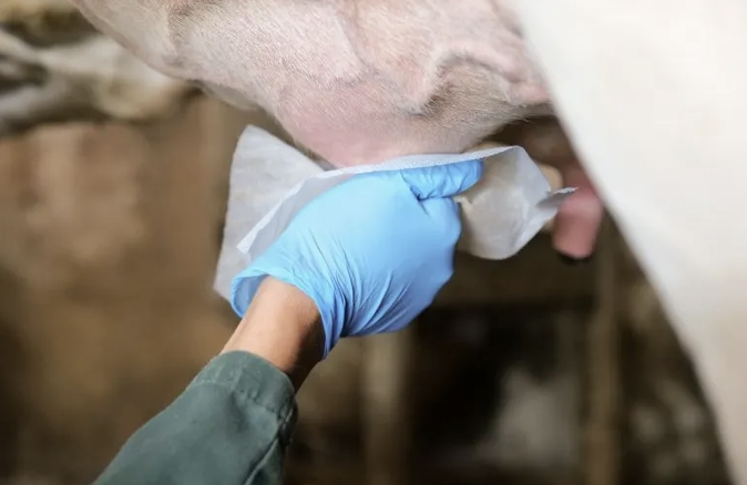 Hygiene & Disinfection